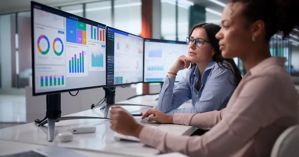 Analista consultando quadro societário e restrições financeiras de sócios em painel de dados